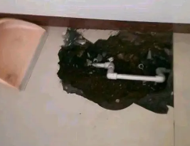 将乐卫生间测漏水多少钱